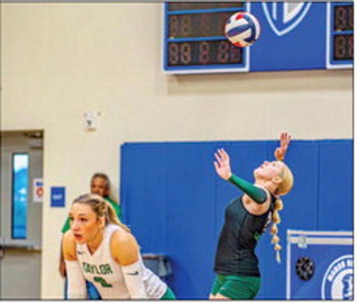 Lady Ducks fall to New Tech, advance to bi-district