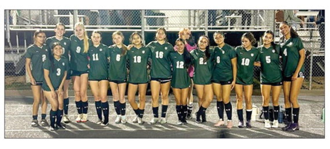 Lady Ducks fall to Pirates in first round exit Lady Ducks fall to Pirates in first round exit