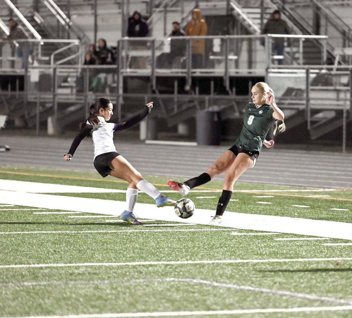 Lady Ducks set for bi-district round