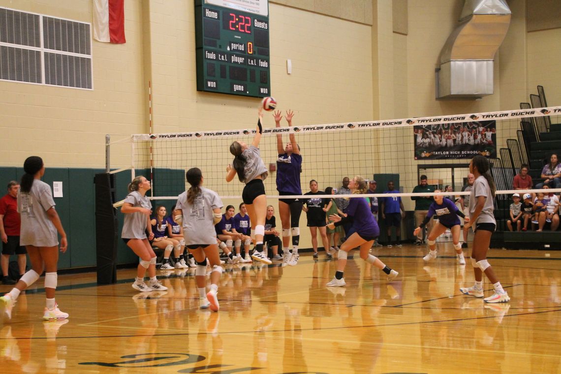 Taylor and Thrall varsity volleyball teams play in a head-to-head scrimmage on Friday, Aug. 4 at the Taylor High School gymnasium. Photo by Andrew Salmi