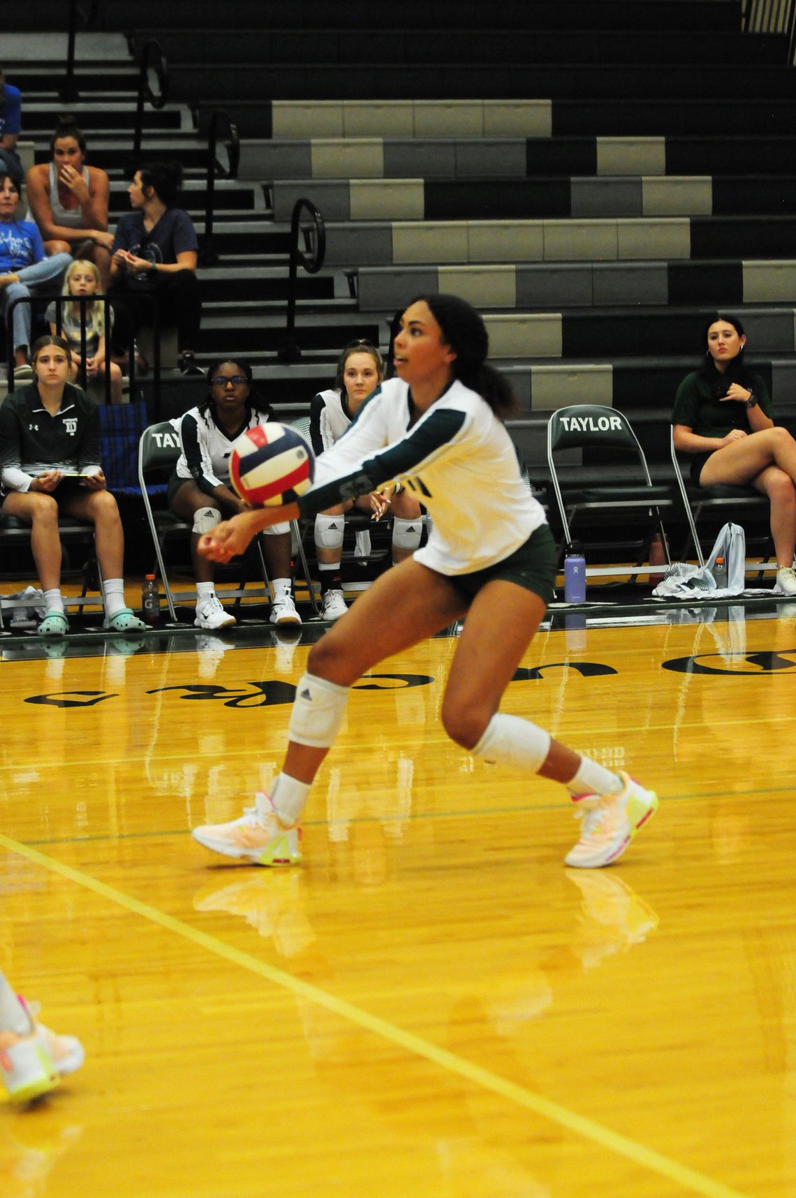 Taylor varsity volleyball senior Hannah Wamble digs the ball on Tuesday night during the Lady Ducks' home win against Lampasas. Photo by Larry Pelchat.