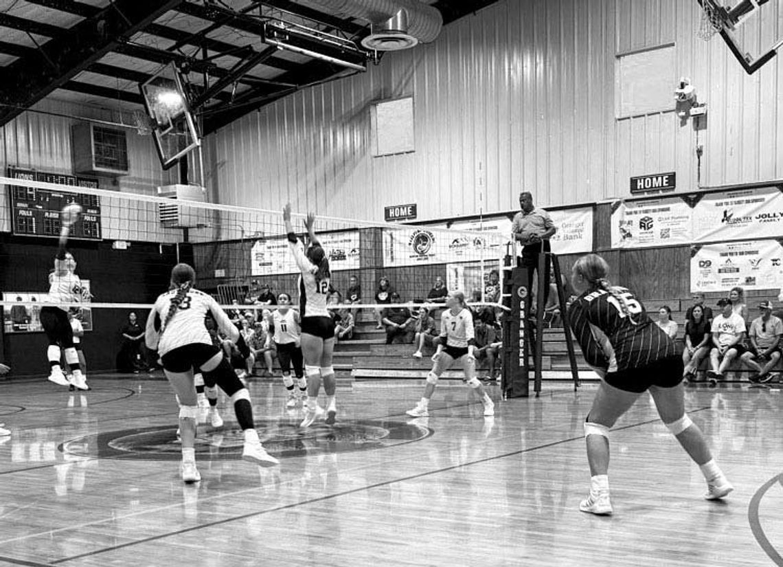 LADY LIONS FALL
