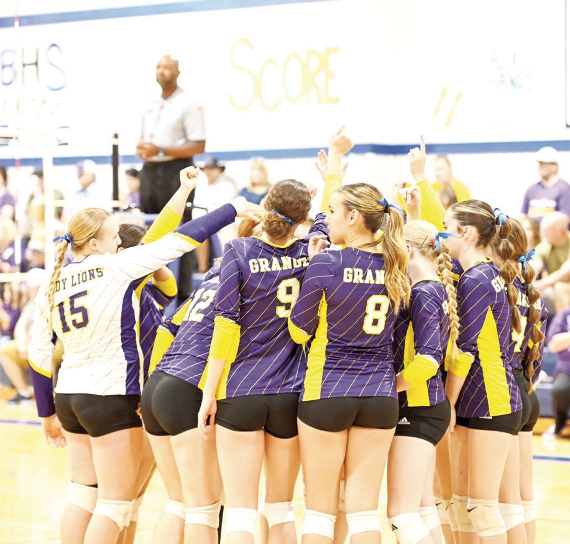 Lady Lions season ends versus Shiner