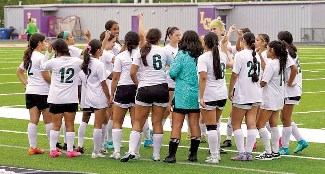 Lady Patos fall in area playoffs