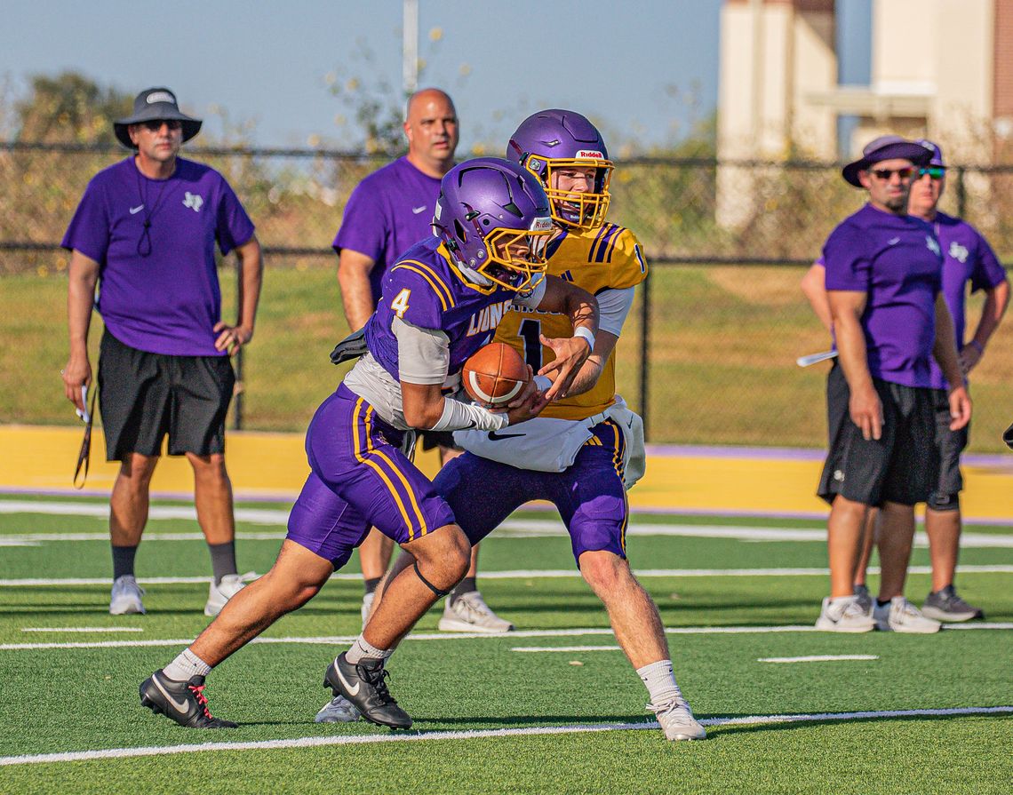 Lions dominate Hornets 52-12 Lions dominate Hornets 52-12