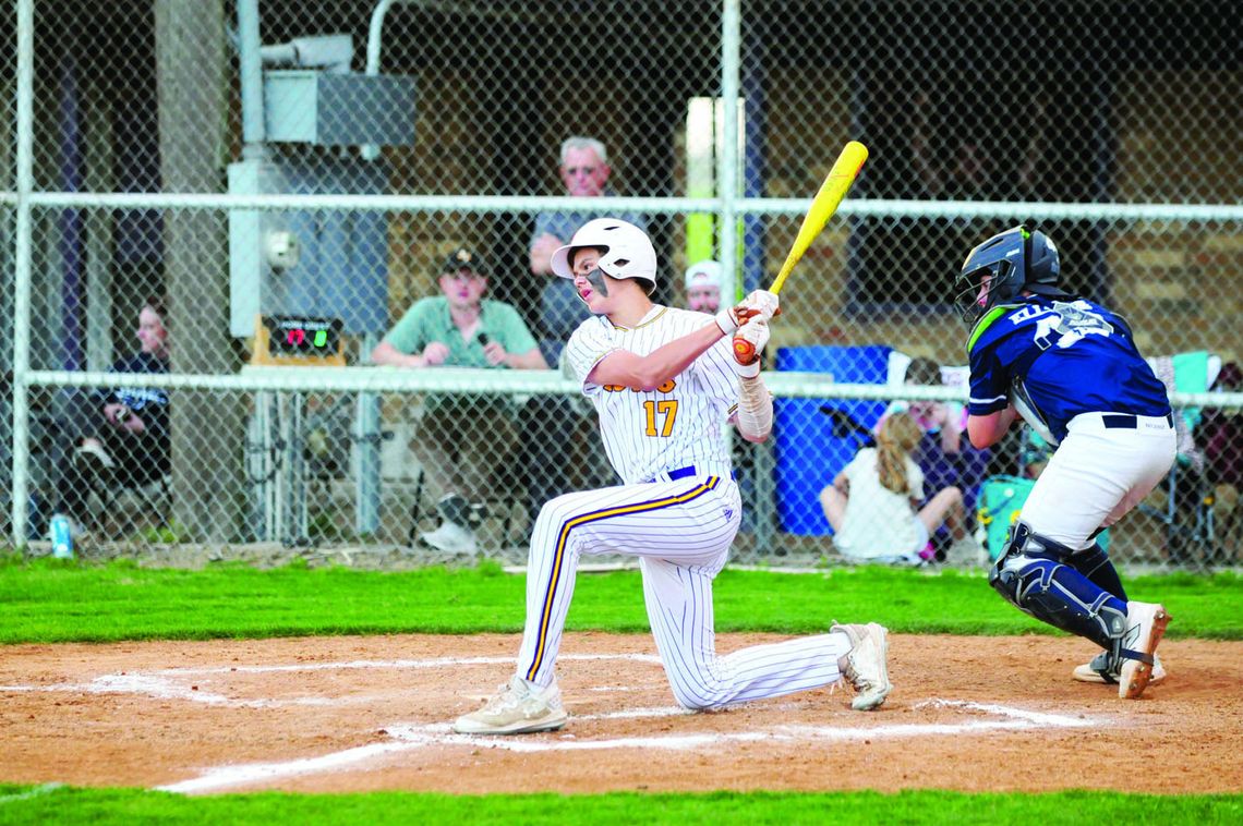 Lions have nine all-district selections