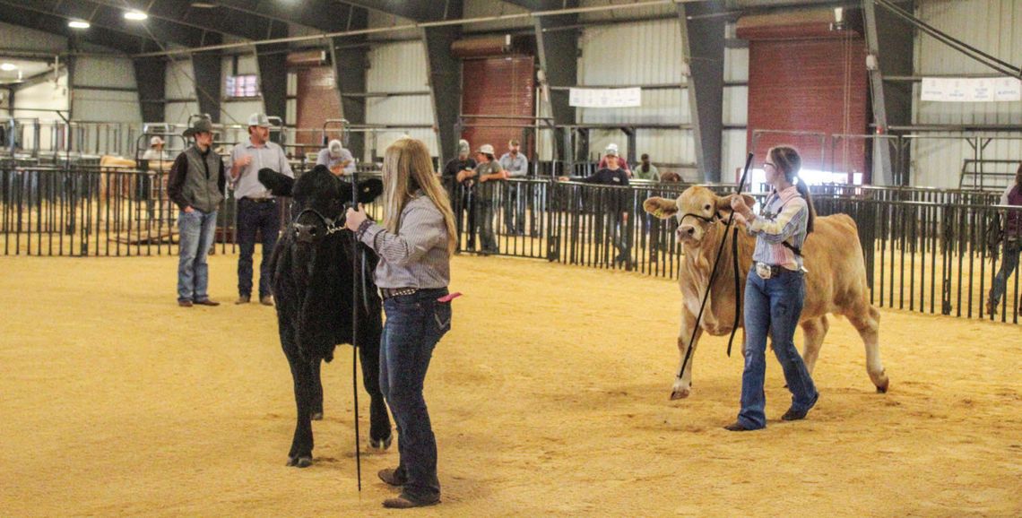 LOCAL STUDENTS AWARDED AT LIVESTOCK SHOW