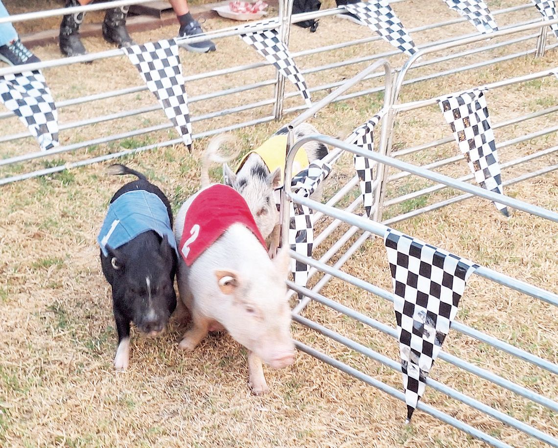 Magic at the Fair