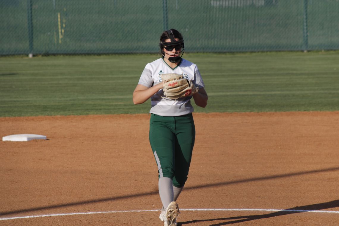 Taylor Lady Ducks ace pitcher Lindsay O’Dell has struck out 29 batters she has faced in her two playoff appearances. 