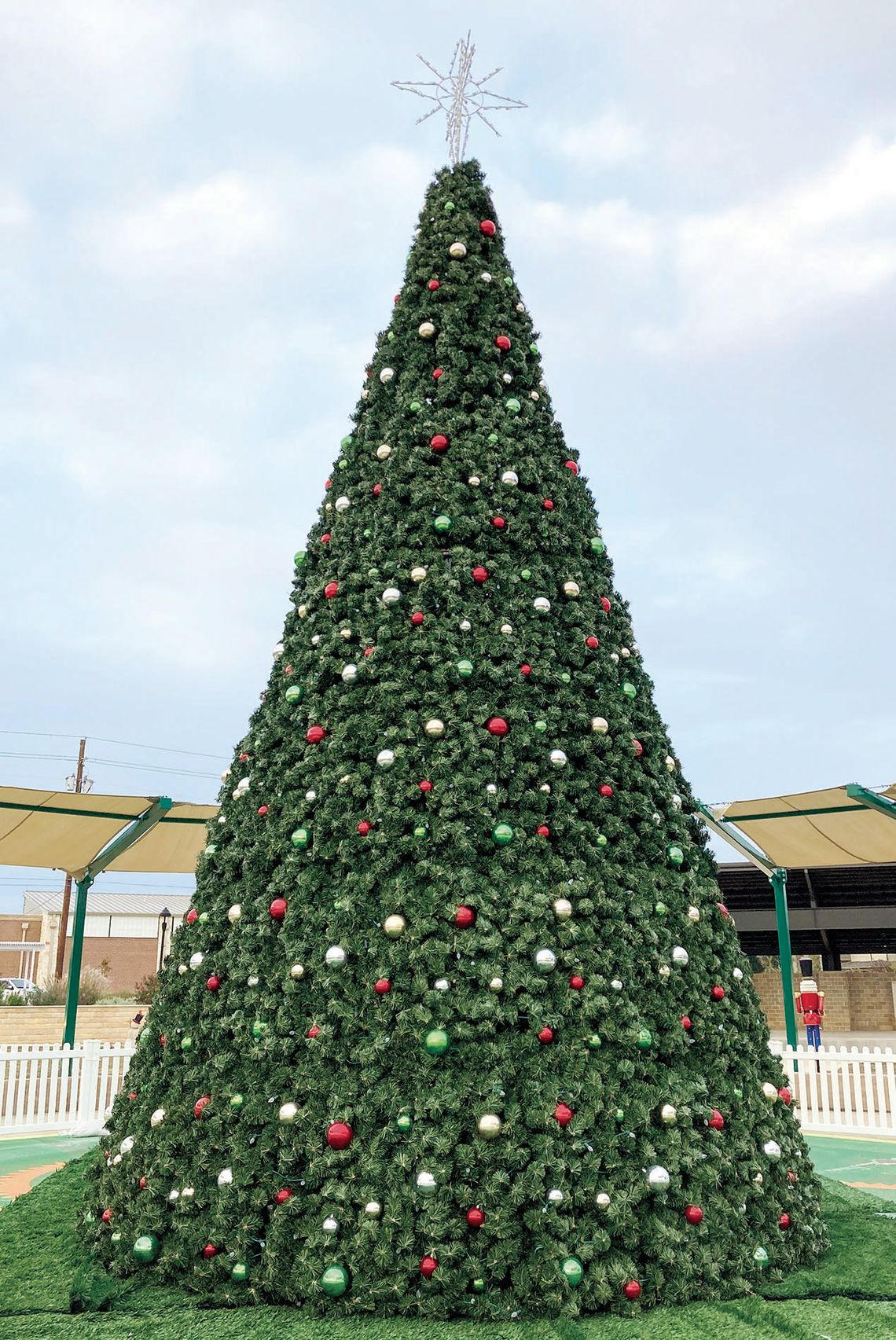 A tree lighting ceremony will be held at the conclusion of the city’s Very Merry Holiday Parade. Photo by Nicole Lessin