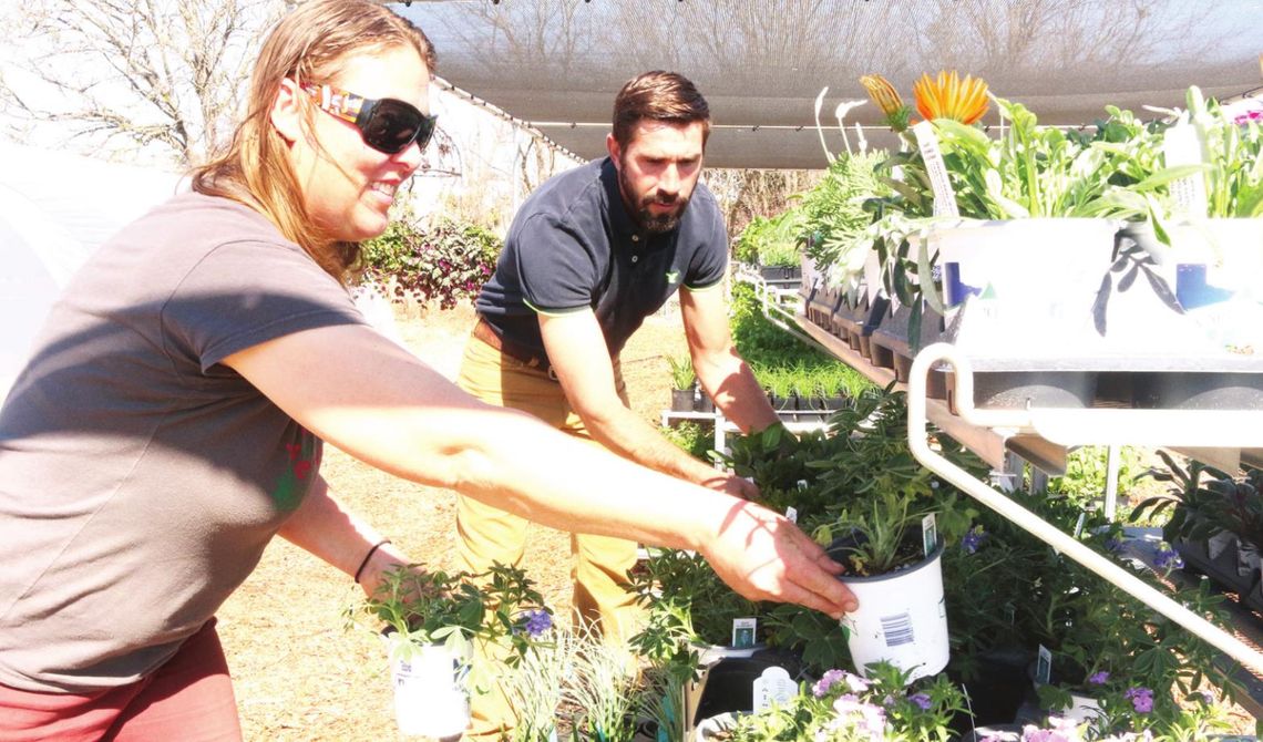 Assistant Manager Crystal Burkett and Manager BJ Dach stock bluebonnets and geraniums in preparation for the grand opening on Friday, Feb 25. Photos by Edie Zunavich