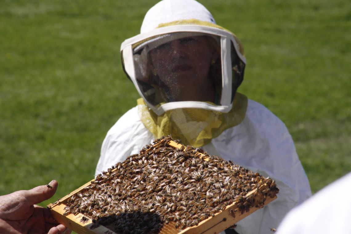 An upcoming beekeeping class will touch on how property taxes factor into the business. Courtesy photo