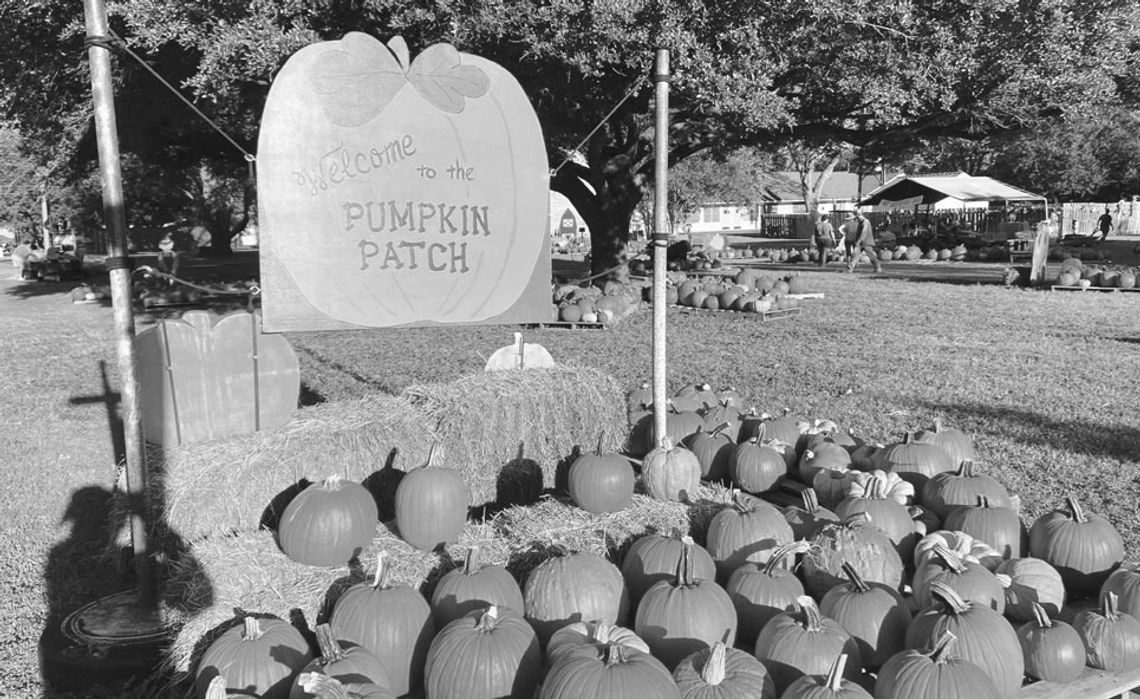 The annual pumpkin patch is open through the end of the month at the First United Methodist Church of Taylor.