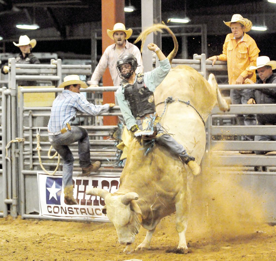 Bull rider holds onto a bull in a previous years’ Taylor Annual Rodeo. Photo from Staff Files