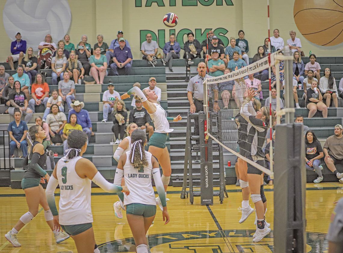 Season update: Taylor Ducks volleyball