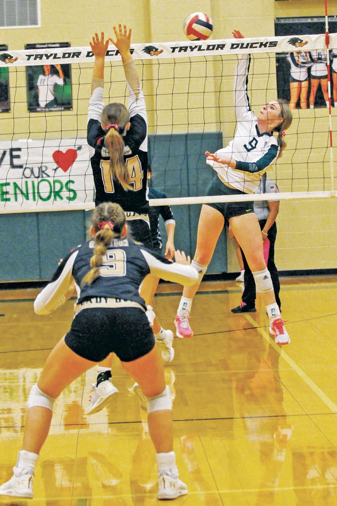 Sweep keeps Lady Ducks at the top