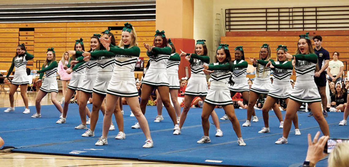 Taylor cheerleaders earn honors at UCA camp