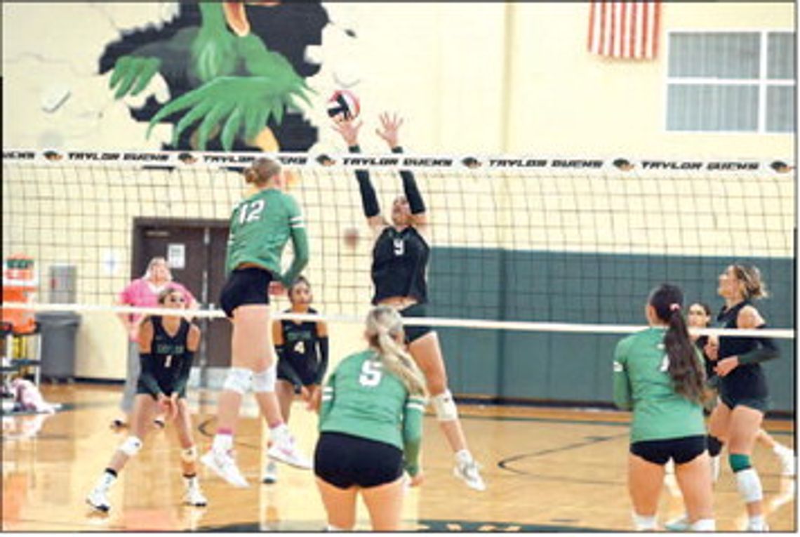 Taylor Ducks release 2026 volleyball schedule