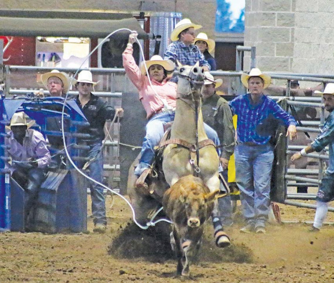 Taylor Rodeo rides again