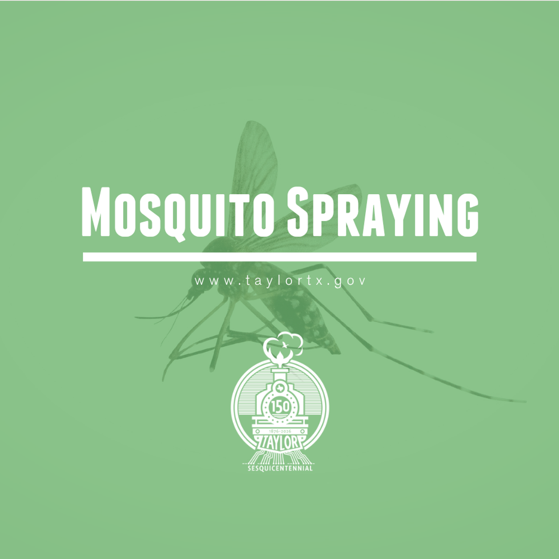 Taylor spraying for mosquitoes ahead of 250th celebration Taylor spraying for mosquitoes ahead of 250th celebration