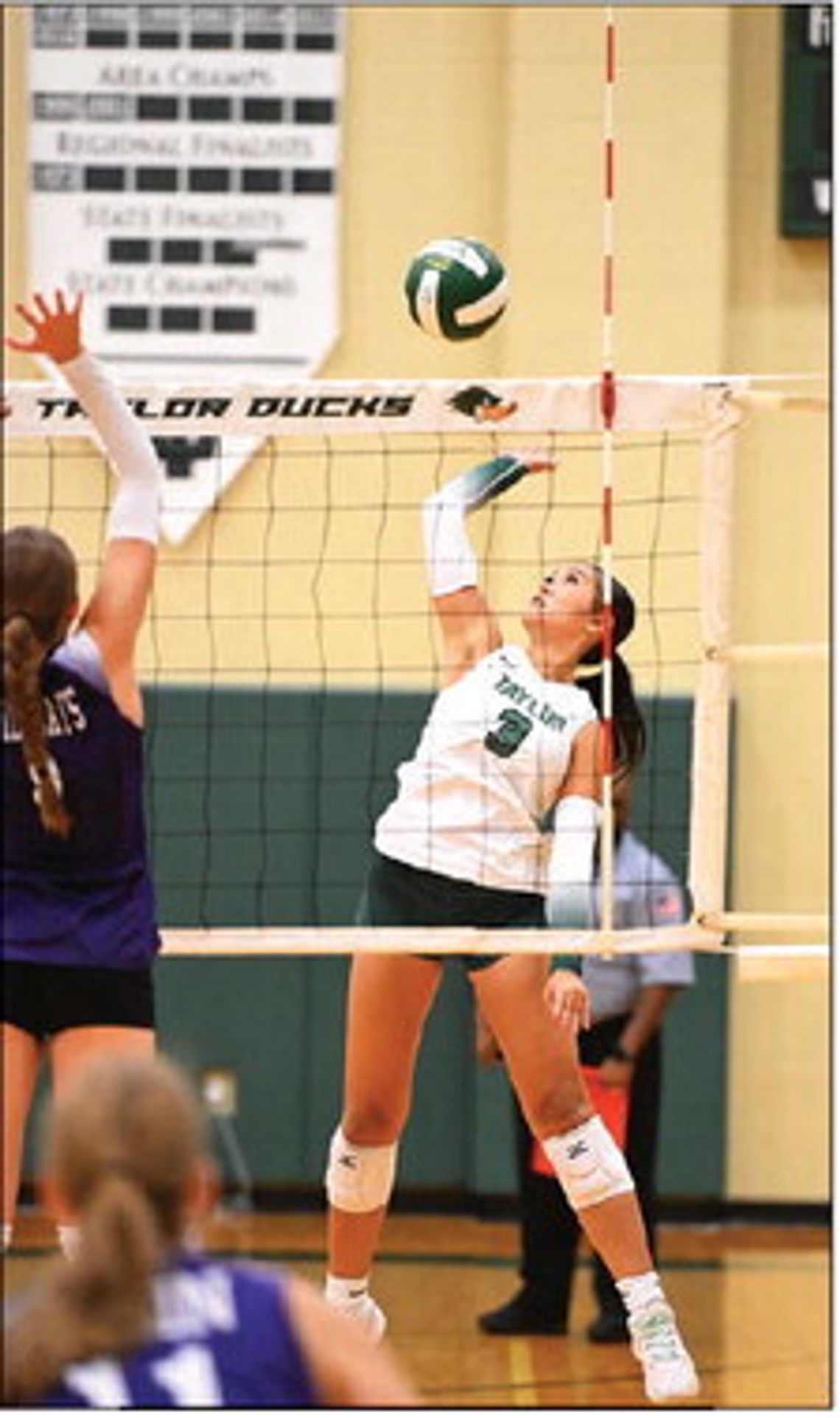 Taylor swept versus Bumblebees