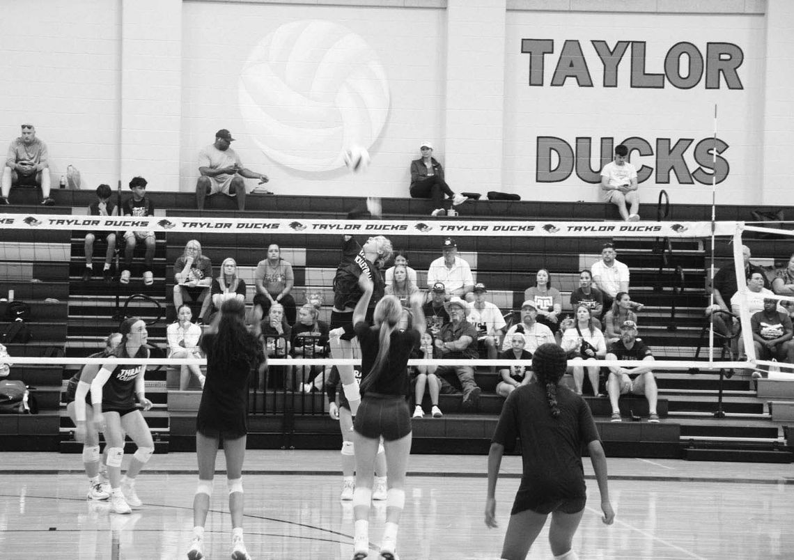 Taylor, Thrall volleyball square off in scrimmage