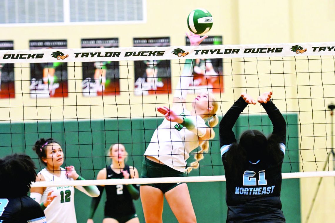 Taylor volleyball sweeps back-to-back
