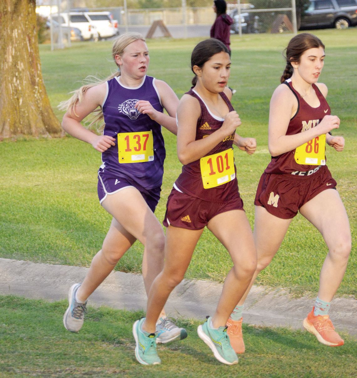 Thrall, Granger XC compete at regional championship