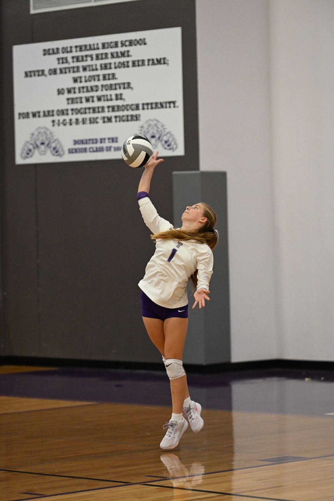 Tigerettes advance to Area