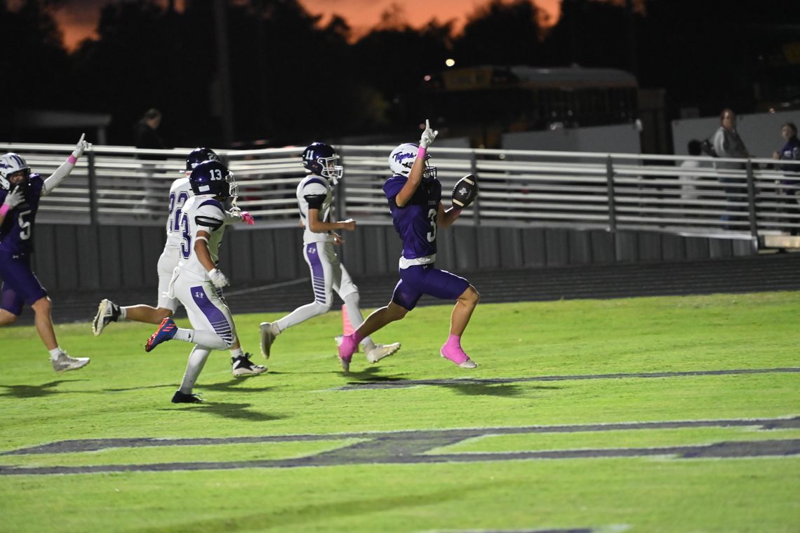 Tigers blast past Florence Tigers blast past Florence