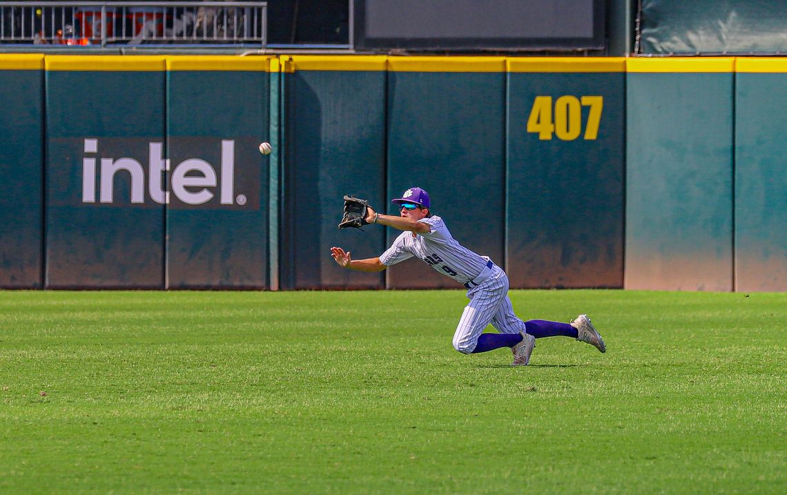 Tigers fall in state final