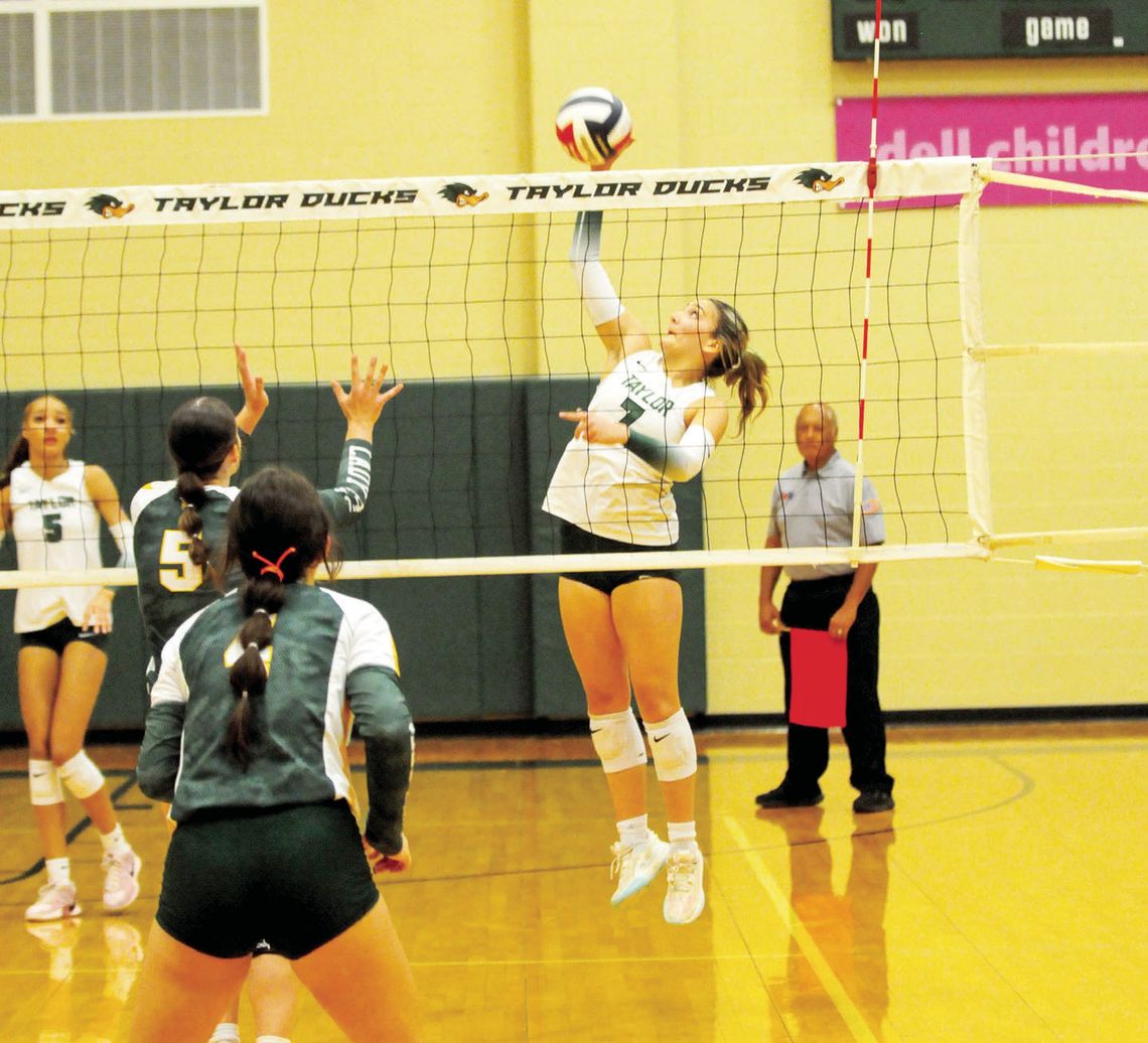 Volleyball player of the week