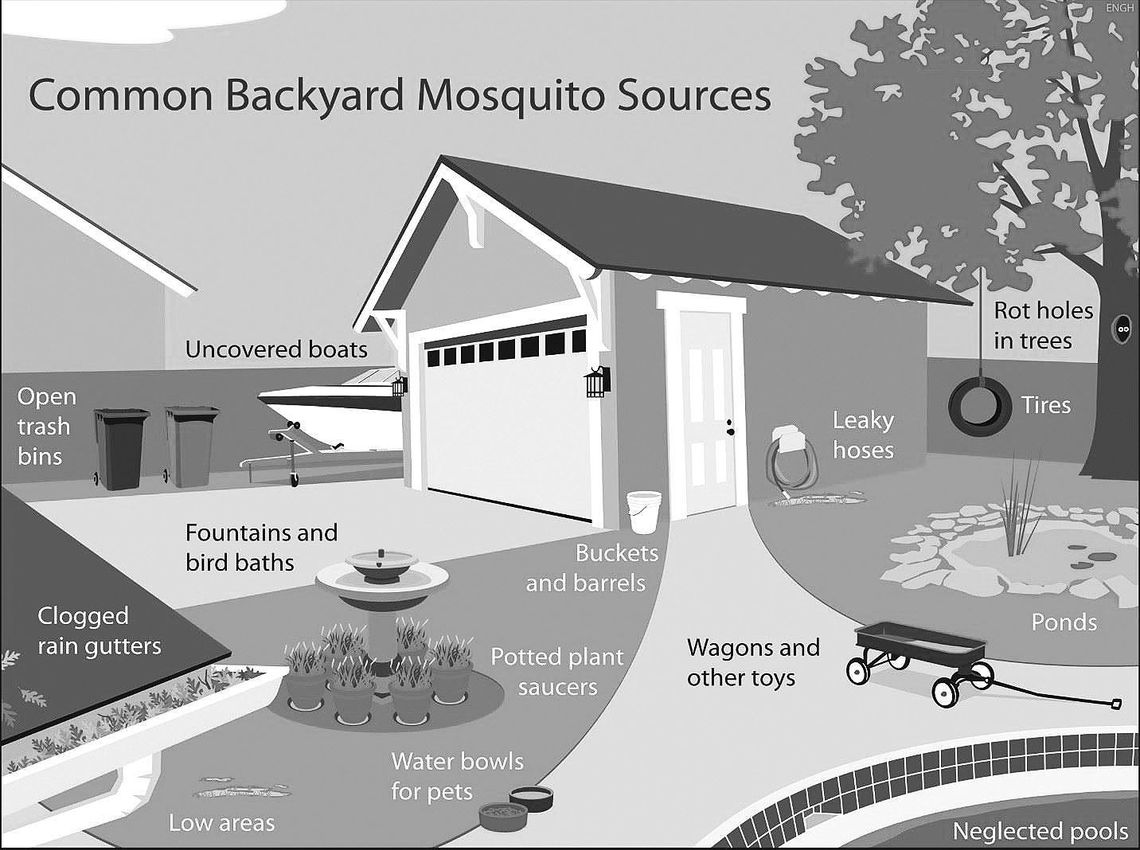 Common places where mosquitos can find enough water for breeding. Source: www.rileycountyks.gov