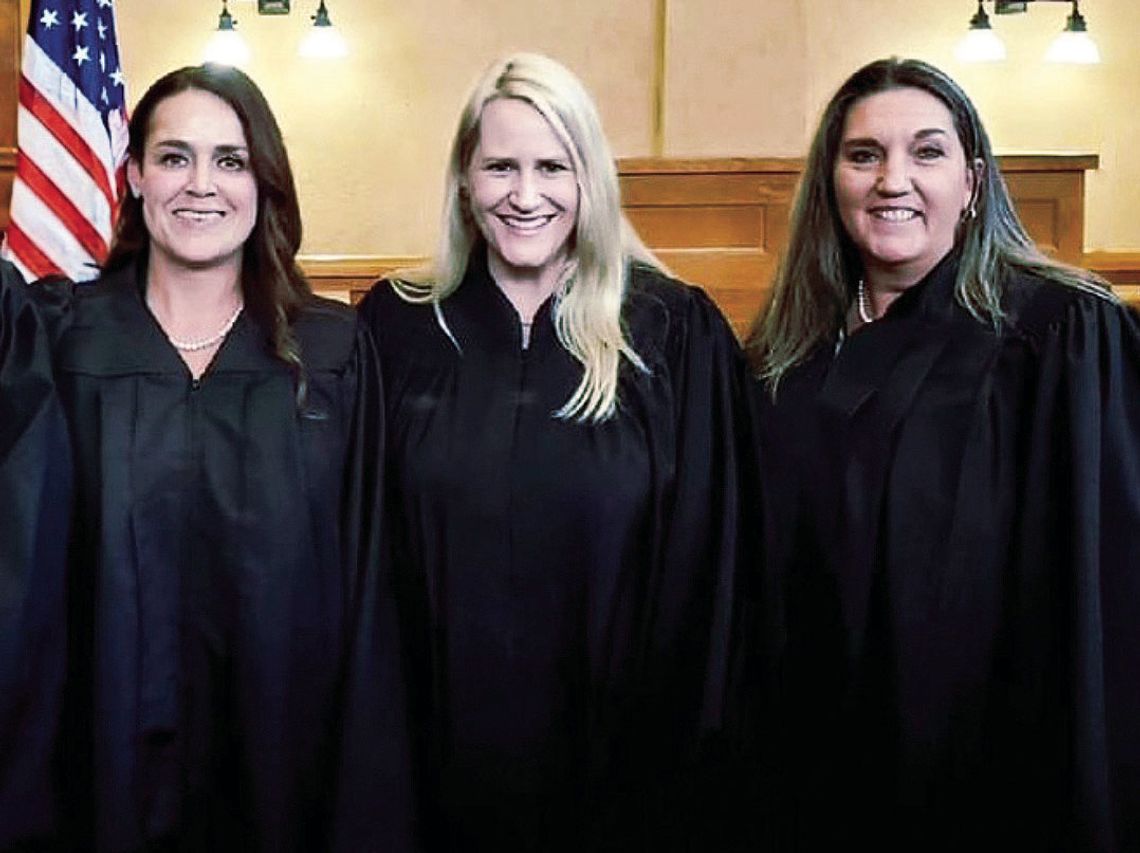 Wilco JPs appointed to key roles in state association