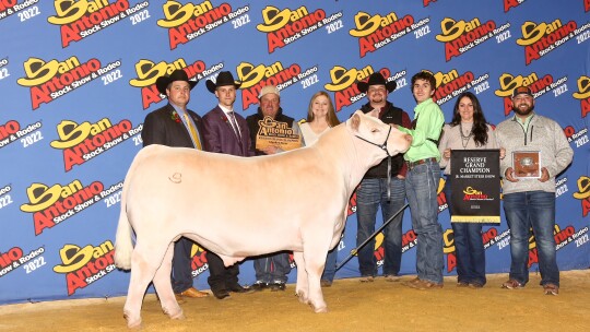 Patin’s hard work paid off at the 2022 San Antonio Livestock Show and Rodeo where his steer Queso was crowned Reserve Grand Champion. Photo Courtesy Tammy Patin