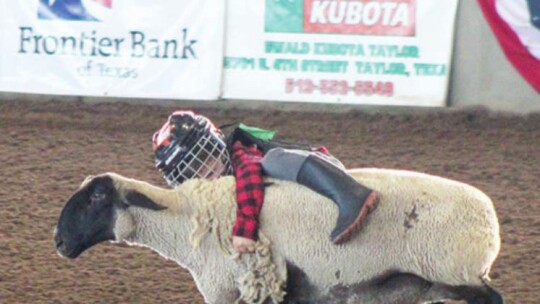 Mutton busting showcased children riders from all around and served as one the most exciting events at this year’s rodeo.