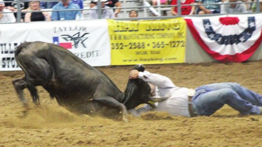 Steer wrestling, also known as bulldogging, featured cowboys in the traditional Bil Pickett-inspired competition.