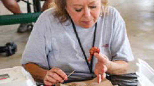 Monica Stojaník judges brisket at the Taylor International Barbecue Cookoff in Taylor Aug. 20. Photos by Fernando Castro