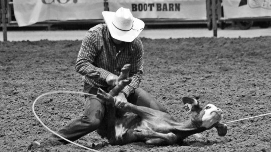 A competitor ropes a calf for a rodeo event last year at the Williamson County Expo Center. Photo by Matt Hooks