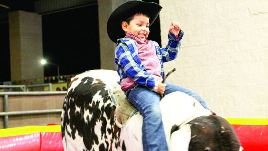 Weekend fun at County Fair and Rodeo