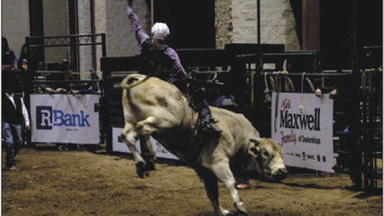 Weekend fun at County Fair and Rodeo