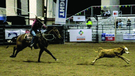 Weekend fun at County Fair and Rodeo