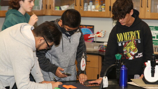 Legacy biology students measure how much substrate (pennies) they were able to move in an enzyme lab. Photos by Tim Crow