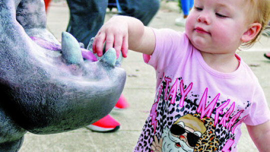 Harper Seely feeds a hippo an acorn under supervision of her aunt while her parents watch local performers.