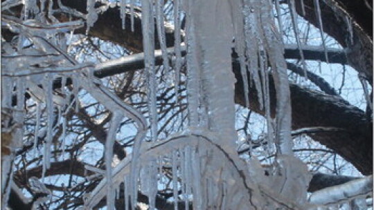 Extreme cold during Winter Storm Uri forced many people to seek shelter in our area.