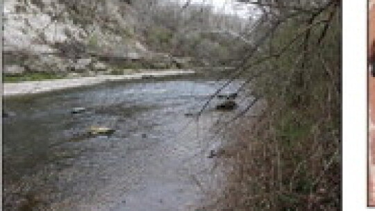 Brushy Creek access from Adam Orgain Park. Photos by Edie Zuvanich