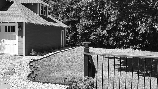 Photo of Marci Wagner’s Old Town home before Durango Farms flooding with old growth trees and landscaping. Photo source: Marci Wagner