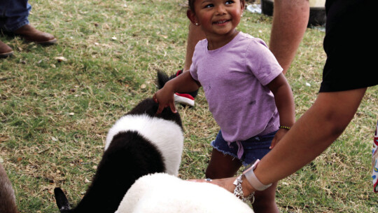 Stormy Fields enjoys petting and chasing goats at Blackland Prairie Day.