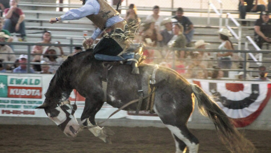 Rodeo participant competes in the saddle bronc riding event, where contestants must stay on bucking horses for eight seconds.