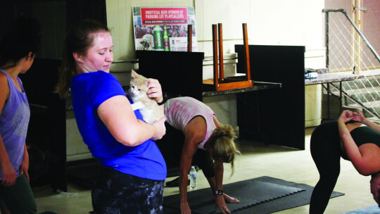 Lynsie Patschke takes a break and gets acquainted with a cat during yoga. Photo by Hunter Dworaczyk